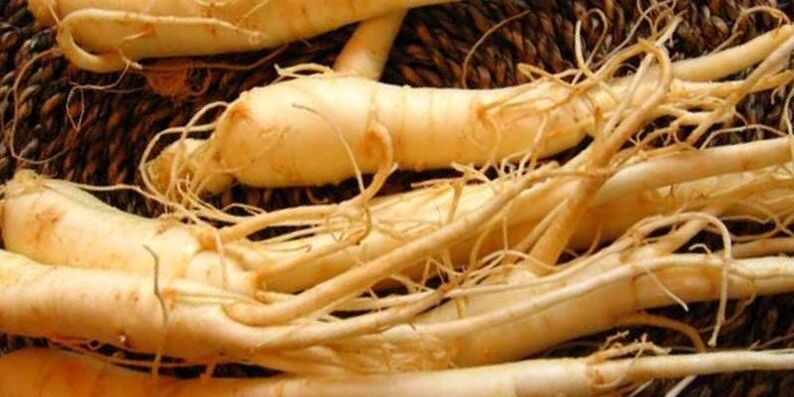 ریشه جینسینگ برای افزایش قدرت